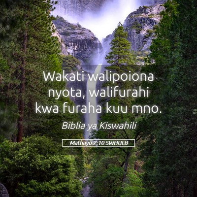 Picture 05 - Mathayo 2:10 SWHULB - Wakati walipoiona nyota, walifurahi kwa furaha - Bible Verse Picture