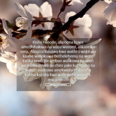 Picture 05 - Mathayo 2:16 SWHULB - Kisha Herode, alipoona kuwa amedhihakiwa na watu - Bible Verse Picture