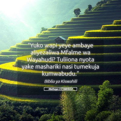 Picture 05 - Mathayo 2:2 SWHULB - “Yuko wapi yeye ambaye aliyezaliwa Mfalme wa - Bible Verse Picture