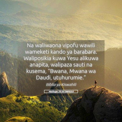 Picture 05 - Mathayo 20:30 SWHULB - Na waliwaona vipofu wawili wameketi kando ya - Bible Verse Picture