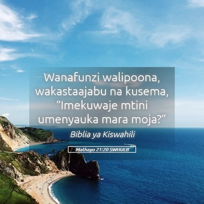 Picture 05 - Mathayo 21:20 SWHULB - Wanafunzi walipoona, wakastaajabu na kusema, - Bible Verse Picture