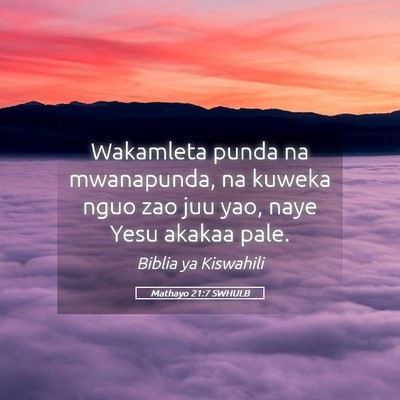 Picture 05 - Mathayo 21:7 SWHULB - Wakamleta punda na mwanapunda, na kuweka nguo zao - Bible Verse Picture