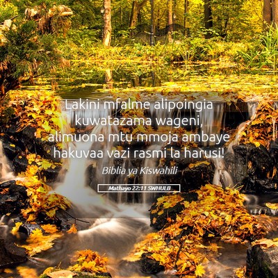 Picture 05 - Mathayo 22:11 SWHULB - Lakini mfalme alipoingia kuwatazama wageni, - Bible Verse Picture
