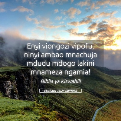 Picture 05 - Mathayo 23:24 SWHULB - Enyi viongozi vipofu, ninyi ambao mnachuja mdudu - Bible Verse Picture