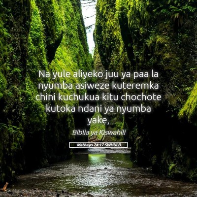 Picture 05 - Mathayo 24:17 SWHULB - Na yule aliyeko juu ya paa la nyumba asiweze - Bible Verse Picture