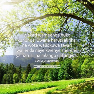 Picture 05 - Mathayo 25:10 SWHULB - Wakati wameenda huko kununua, Bwana harusi - Bible Verse Picture