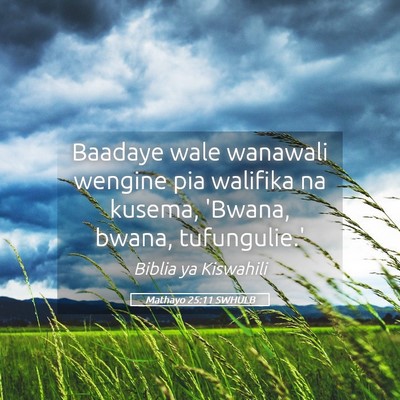 Picture 05 - Mathayo 25:11 SWHULB - Baadaye wale wanawali wengine pia walifika na - Bible Verse Picture