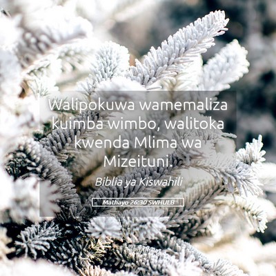 Picture 05 - Mathayo 26:30 SWHULB - Walipokuwa wamemaliza kuimba wimbo, walitoka - Bible Verse Picture