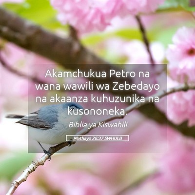 Picture 05 - Mathayo 26:37 SWHULB - Akamchukua Petro na wana wawili wa Zebedayo na - Bible Verse Picture
