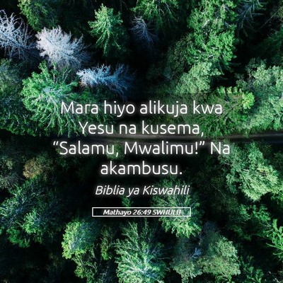 Picture 05 - Mathayo 26:49 SWHULB - Mara hiyo alikuja kwa Yesu na kusema, “Salamu, - Bible Verse Picture