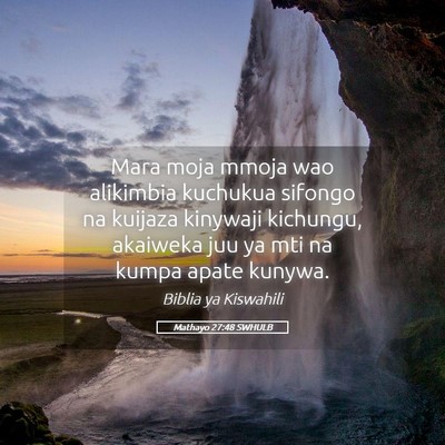 Picture 05 - Mathayo 27:48 SWHULB - Mara moja mmoja wao alikimbia kuchukua sifongo na - Bible Verse Picture