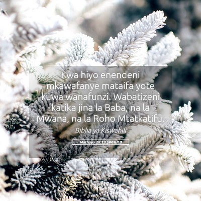 Picture 05 - Mathayo 28:19 SWHULB - Kwa hiyo enendeni mkawafanye mataifa yote kuwa - Bible Verse Picture