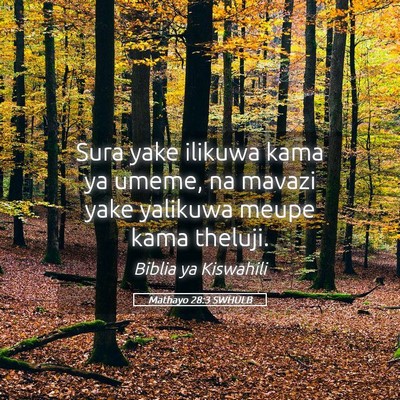 Picture 05 - Mathayo 28:3 SWHULB - Sura yake ilikuwa kama ya umeme, na mavazi yake - Bible Verse Picture