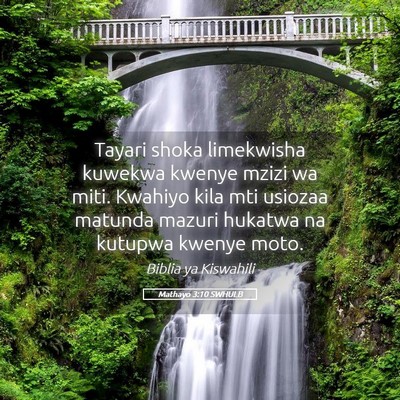 Picture 05 - Mathayo 3:10 SWHULB - Tayari shoka limekwisha kuwekwa kwenye mzizi wa - Bible Verse Picture