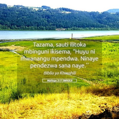 Picture 05 - Mathayo 3:17 SWHULB - Tazama, sauti ilitoka mbinguni ikisema, “Huyu - Bible Verse Picture