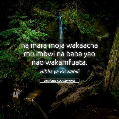 Picture 05 - Mathayo 4:22 SWHULB - na mara moja wakaacha mtumbwi na baba yao nao - Bible Verse Picture