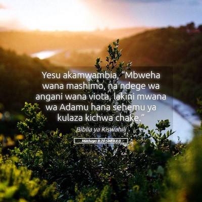 Picture 05 - Mathayo 8:20 SWHULB - Yesu akamwambia, “Mbweha wana mashimo, na ndege - Bible Verse Picture