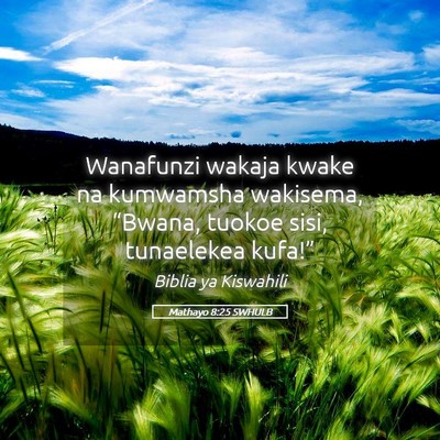 Picture 05 - Mathayo 8:25 SWHULB - Wanafunzi wakaja kwake na kumwamsha wakisema, - Bible Verse Picture