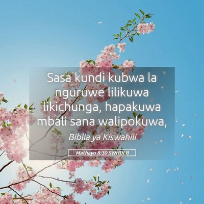 Picture 05 - Mathayo 8:30 SWHULB - Sasa kundi kubwa la nguruwe lilikuwa likichunga, - Bible Verse Picture