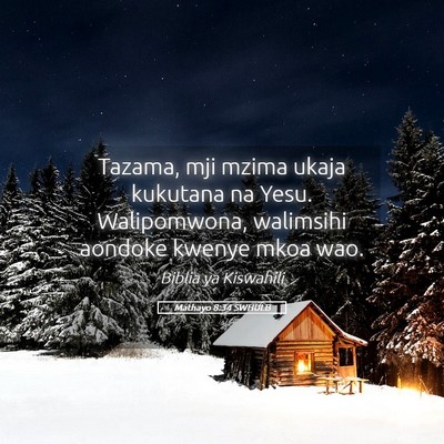 Picture 05 - Mathayo 8:34 SWHULB - Tazama, mji mzima ukaja kukutana na Yesu. - Bible Verse Picture