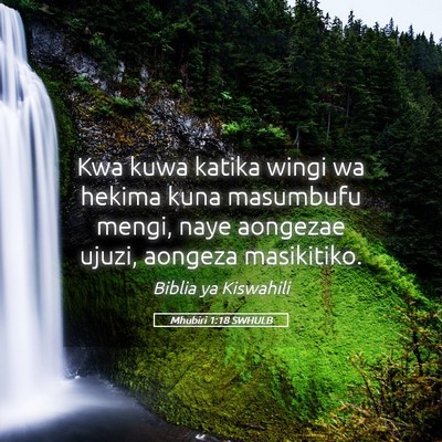 Picture 05 - Mhubiri 1:18 SWHULB - Kwa kuwa katika wingi wa hekima kuna masumbufu - Bible Verse Picture