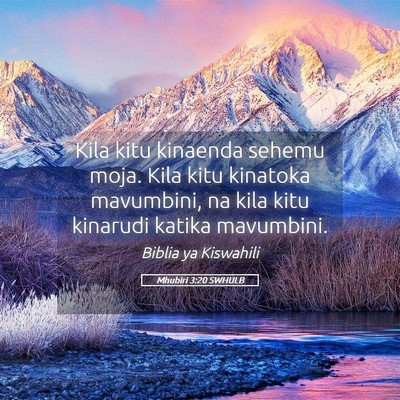 Picture 05 - Mhubiri 3:20 SWHULB - Kila kitu kinaenda sehemu moja. Kila kitu - Bible Verse Picture
