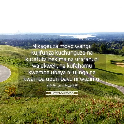 Picture 05 - Mhubiri 7:25 SWHULB - Nikageuza moyo wangu kujifunza kuchunguza na - Bible Verse Picture
