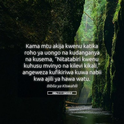 Picture 05 - Mika 2:11 SWHULB - Kama mtu akija kwenu katika roho ya uongo na - Bible Verse Picture