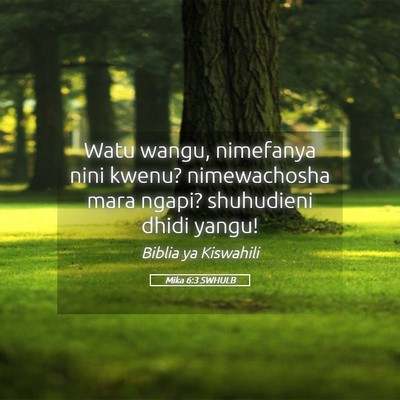 Picture 05 - Mika 6:3 SWHULB - Watu wangu, nimefanya nini kwenu? nimewachosha - Bible Verse Picture