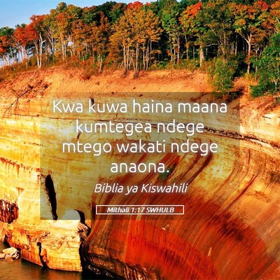 Picture 05 - Mithali 1:17 SWHULB - Kwa kuwa haina maana kumtegea ndege mtego wakati - Bible Verse Picture