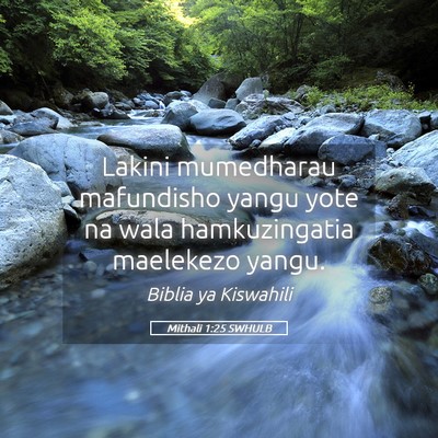 Picture 05 - Mithali 1:25 SWHULB - Lakini mumedharau mafundisho yangu yote na wala - Bible Verse Picture