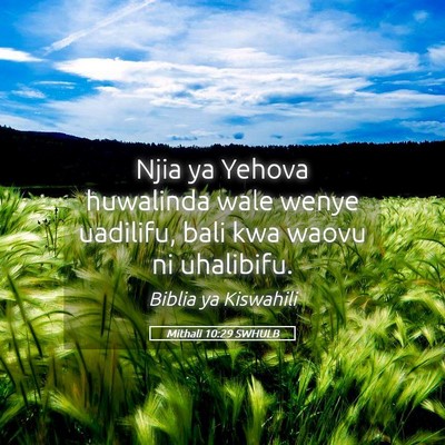 Picture 05 - Mithali 10:29 SWHULB - Njia ya Yehova huwalinda wale wenye uadilifu, - Bible Verse Picture