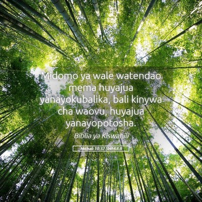 Picture 05 - Mithali 10:32 SWHULB - Midomo ya wale watendao mema huyajua - Bible Verse Picture