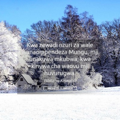 Picture 05 - Mithali 11:11 SWHULB - Kwa zawadi nzuri za wale wanaompendeza Mungu, mji - Bible Verse Picture
