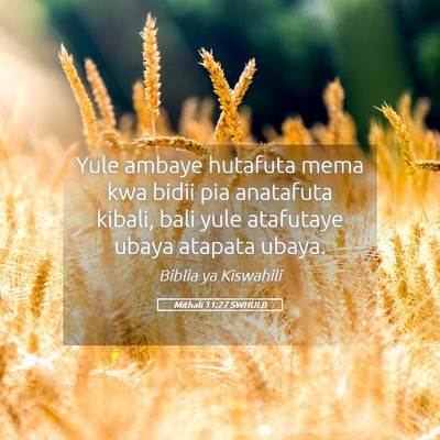 Picture 05 - Mithali 11:27 SWHULB - Yule ambaye hutafuta mema kwa bidii pia anatafuta - Bible Verse Picture