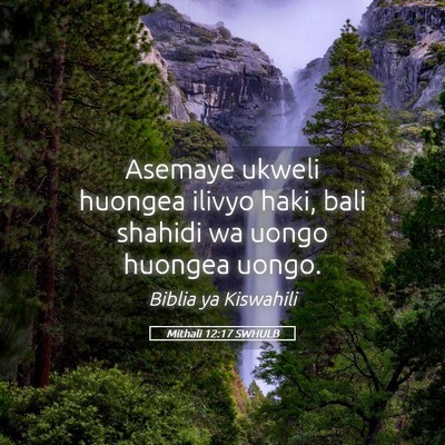 Picture 05 - Mithali 12:17 SWHULB - Asemaye ukweli huongea ilivyo haki, bali shahidi - Bible Verse Picture