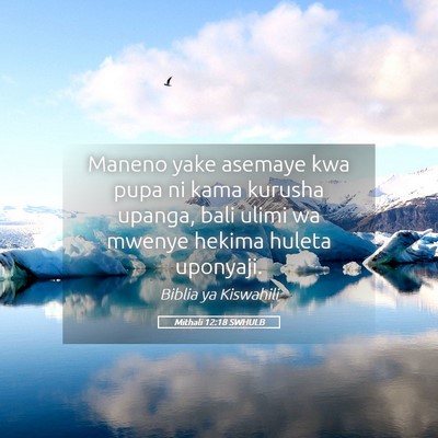 Picture 05 - Mithali 12:18 SWHULB - Maneno yake asemaye kwa pupa ni kama kurusha - Bible Verse Picture