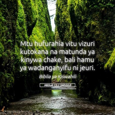 Picture 05 - Mithali 13:2 SWHULB - Mtu hufurahia vitu vizuri kutokana na matunda ya - Bible Verse Picture