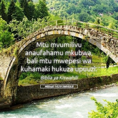 Picture 05 - Mithali 14:29 SWHULB - Mtu mvumilivu anaufahamu mkubwa, bali mtu mwepesi - Bible Verse Picture