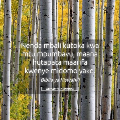 Picture 05 - Mithali 14:7 SWHULB - Nenda mbali kutoka kwa mtu mpumbavu, maana - Bible Verse Picture