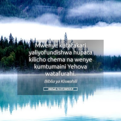 Picture 05 - Mithali 16:20 SWHULB - Mwenye kutafakari yaliyofundishwa hupata kilicho - Bible Verse Picture