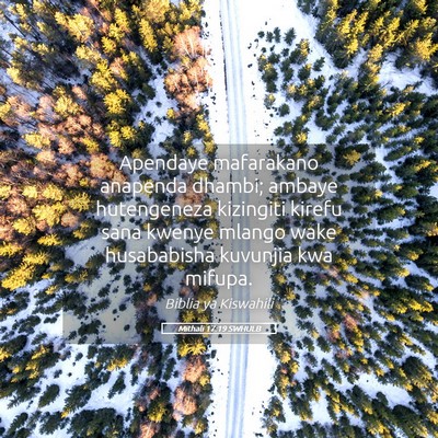 Picture 05 - Mithali 17:19 SWHULB - Apendaye mafarakano anapenda dhambi; ambaye - Bible Verse Picture