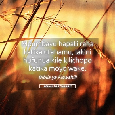 Picture 05 - Mithali 18:2 SWHULB - Mpumbavu hapati raha katika ufahamu, lakini - Bible Verse Picture