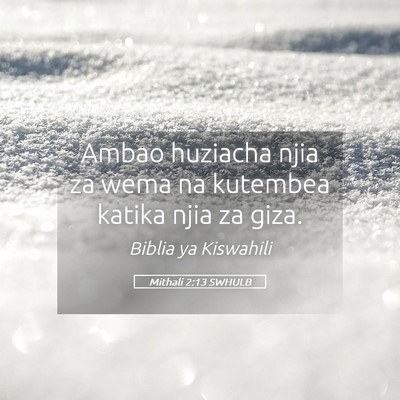 Picture 05 - Mithali 2:13 SWHULB - Ambao huziacha njia za wema na kutembea katika - Bible Verse Picture