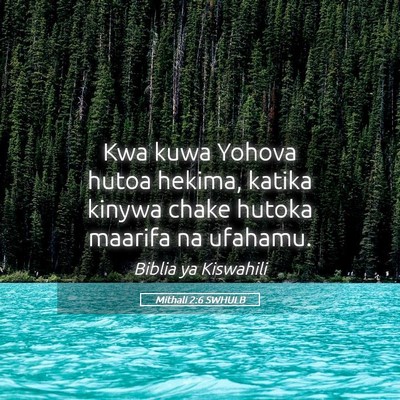 Picture 05 - Mithali 2:6 SWHULB - Kwa kuwa Yohova hutoa hekima, katika kinywa chake - Bible Verse Picture
