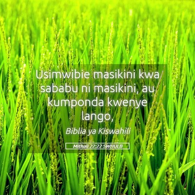 Picture 05 - Mithali 22:22 SWHULB - Usimwibie masikini kwa sababu ni masikini, au - Bible Verse Picture