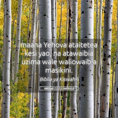 Picture 05 - Mithali 22:23 SWHULB - maana Yehova ataitetea kesi yao, na atawaibia - Bible Verse Picture