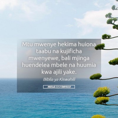 Picture 05 - Mithali 22:3 SWHULB - Mtu mwenye hekima huiona taabu na kujificha - Bible Verse Picture