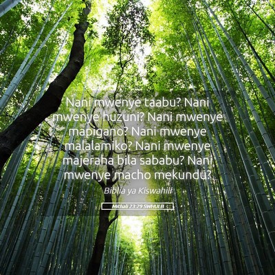 Picture 05 - Mithali 23:29 SWHULB - Nani mwenye taabu? Nani mwenye huzuni? Nani - Bible Verse Picture