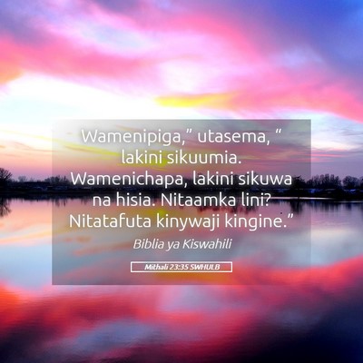 Picture 05 - Mithali 23:35 SWHULB - Wamenipiga,” utasema, “ lakini sikuumia. - Bible Verse Picture